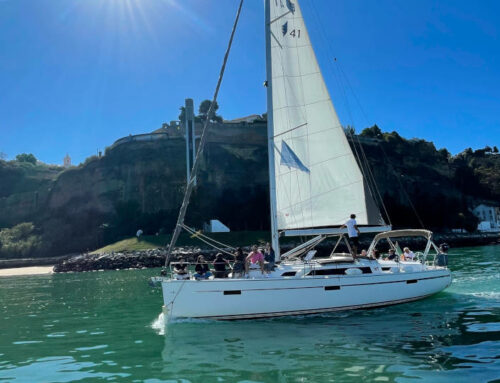 10 formas de explorar a natureza de barco